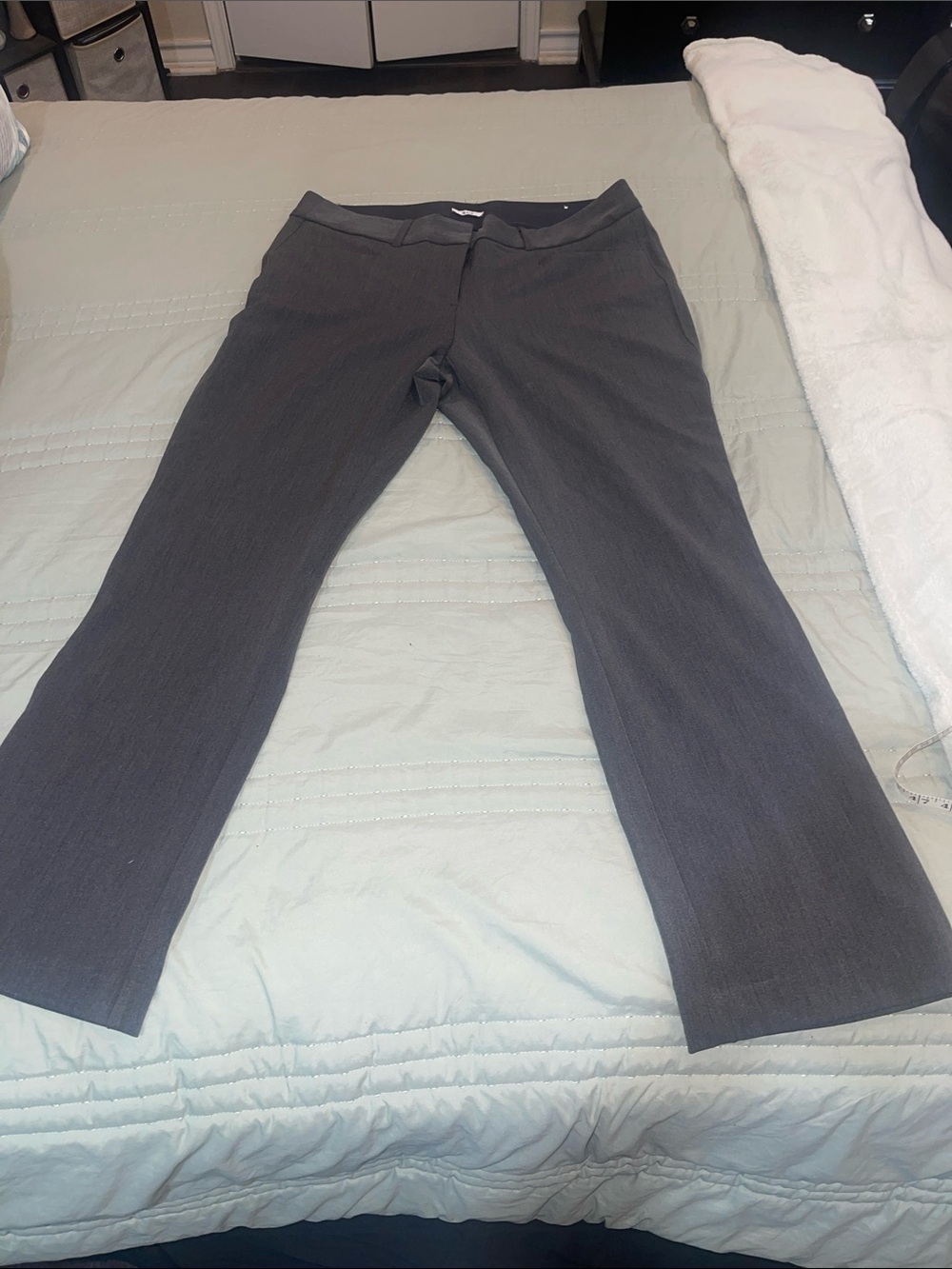 Lane Bryant, The Allie, gray pant